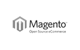 ECommerce Magento technologies